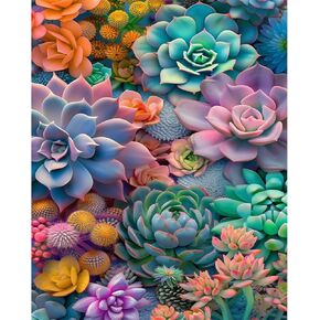 Paint by Numbers Kit for Adults Beginner Succulent, Adult Paint by Number Kits on Canvas, Succulent Plant DIY Acrylic Oil Painting by Numbers for Adults, Perfect for Home Wall Decor 16X20 Inch