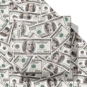 Vnaaem Funny Wrapping Paper for Men Women Adults - 6 Pcs Dollar Bills Design Money Gift Wrap for Birthday Party Holiday Christmas Anniversary