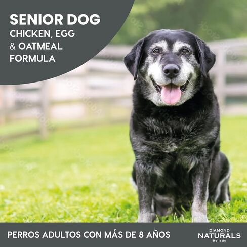 DIAMOND NATURALS Senior Real Meat Recipe Premium Dry Dog Food with Real Cage Free Chicken 6lb in Saudi Arabia
