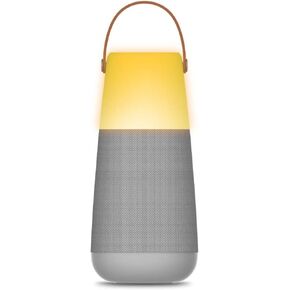 ION Audio Bright Max Plus Indoor/Outdoor 360 Degree Bluetooth Wireless Speaker (Renewed)