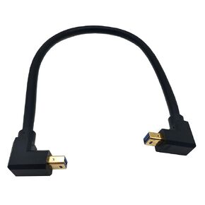 Qaoquda Mini DisplayPort Cable, 1FT 90 Degree Angled Mini DisplayPort (Mini DP) Male to Male 8K Extension Adapter Cord for with Mini DP PC/Laptop (Right/Right)