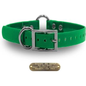 1" Solid Premium Glow Tuff Center Ring Dog Collar with 3/4" Tag (Dark Green, 21" Long)
