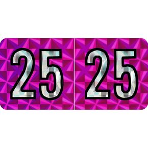 2025 Year Stickers, 500 Pcs Rectangle Color Coded Labels 3/4" x 1-1/2" Self Adhesive File Folder Year Stickers