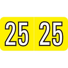 2025 Year Stickers, 500 Pcs Rectangle Color Coded Labels 3/4" x 1-1/2" Self Adhesive File Folder Year Stickers in Saudi Arabia