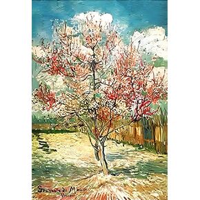 NIHO-JIUMA Van Gogh Diamond Painting Kits, 5D DIY Full Drill Diamond Art Gift for Adult, Home Decoration (30x40cm/12x16inches)