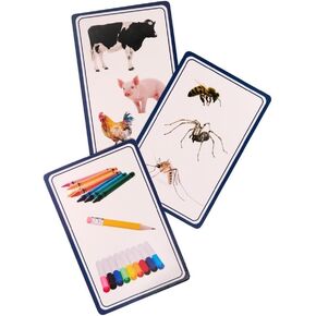 Kids Categorization Card Game – Educational Learning Game for Speech, Reasoning & Problem Solving – Fun Travel Activity for Preschoolers – Develop Verbal & Cognitive Skills