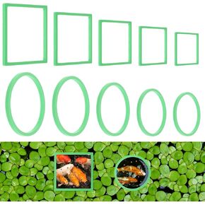 BEWUDY 10pcs مجموعات حلقات تغذية الأسماك ، الحوض العائم عائم حوض أسماك كورالي ، دائرة التغذية الدائرة حلقة مغذية حلقة مربعة مربعة العائمة لاعتراض النباتات تعويم (أسود) in Kuwait