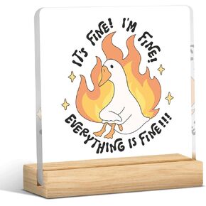 Silly Goose Gift for Gooses Lover Colleague Silly Goose Decorations for Office Funny Office Saying Hope This Email Finds You Before I Do Acrylic Sign 4 x 4 inch