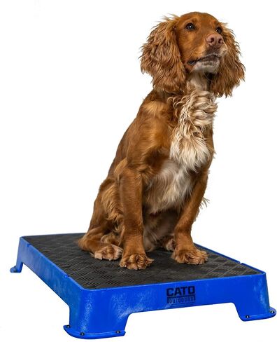 Cato Board - Dog Training Platform (Blue, Rubber Surface) in Saudi Arabia