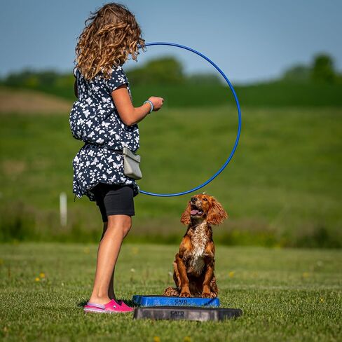 Cato Board - Dog Training Platform (Blue, Rubber Surface) in Saudi Arabia