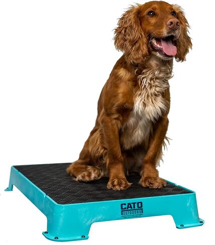 Cato Board - Dog Training Platform (Blue, Rubber Surface) in Saudi Arabia