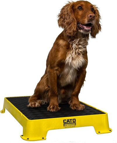 Cato Board - Dog Training Platform (Blue, Rubber Surface) in Saudi Arabia