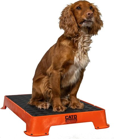 Cato Board - Dog Training Platform (Blue, Rubber Surface) in Saudi Arabia