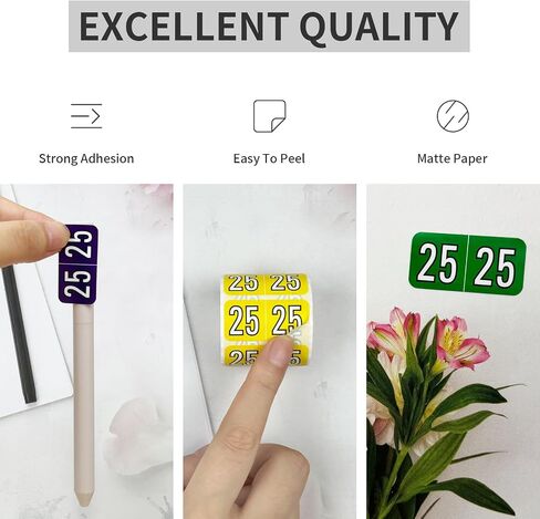 2025 Year Stickers, 500 Pcs Rectangle Color Coded Labels 3/4" x 1-1/2" Self Adhesive File Folder Year Stickers in Kuwait