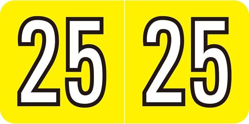2025 Year Stickers, 500 Pcs Rectangle Color Coded Labels 3/4" x 1-1/2" Self Adhesive File Folder Year Stickers in Kuwait