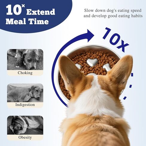 2pcs أوعية الكلب البطيء تغذية - 304 وعاء الكلب من الفولاذ المقاوم للصدأ مع قاعدة غير قابلة للانزلاق (2 ~ 5 أكواب) - الأطعمة المعدنية الشاقة والماء يبطئ الحيوانات الأليفة الأكل للكلاب المتوسطة والكبيرة الحجم in Kuwait