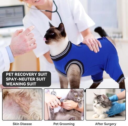دعوى استرداد جراحة Cat T'Chaque للذكور ، والقطط الأليفة Pet Pajamas Args Hind Segs Long ، وأمراض الجلد الجرح في البطن ، والبديل اليولي ، و SPAY/SIDER Recovery ، و RoyalBlue-XL in Kuwait