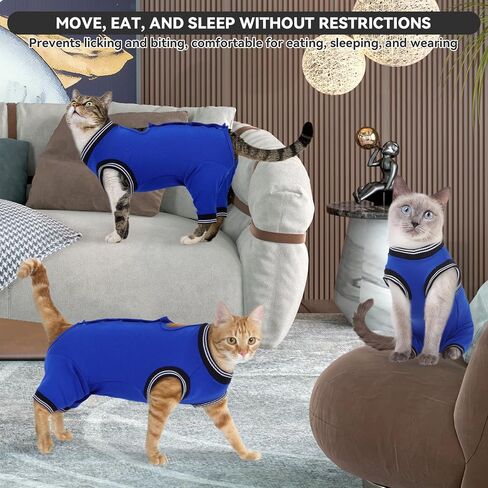 دعوى استرداد جراحة Cat T'Chaque للذكور ، والقطط الأليفة Pet Pajamas Args Hind Segs Long ، وأمراض الجلد الجرح في البطن ، والبديل اليولي ، و SPAY/SIDER Recovery ، و RoyalBlue-XL in Kuwait