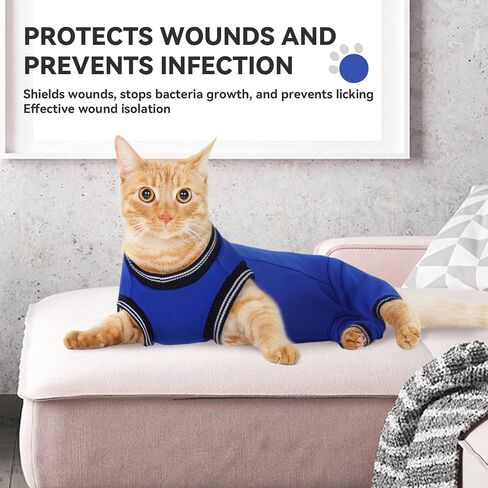 دعوى استرداد جراحة Cat T'Chaque للذكور ، والقطط الأليفة Pet Pajamas Args Hind Segs Long ، وأمراض الجلد الجرح في البطن ، والبديل اليولي ، و SPAY/SIDER Recovery ، و RoyalBlue-XL in Kuwait