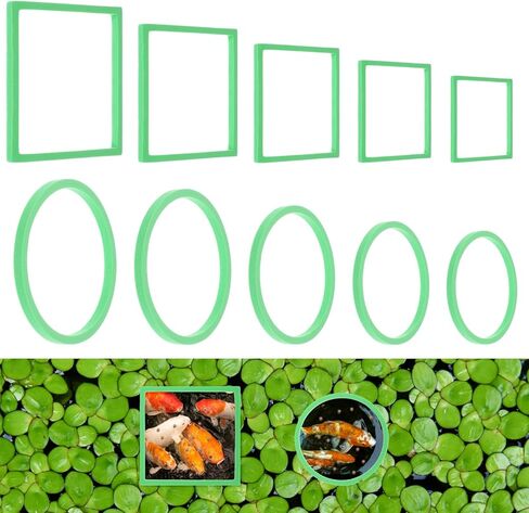 BEWUDY 10pcs مجموعات حلقات تغذية الأسماك ، الحوض العائم عائم حوض أسماك كورالي ، دائرة التغذية الدائرة حلقة مغذية حلقة مربعة مربعة العائمة لاعتراض النباتات تعويم (أسود) in Kuwait