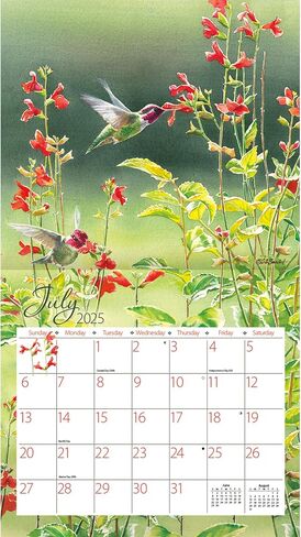 Lang Companies, Hummingbirds 2026 Wall Calendar by Susan Bourdet, 13.4'' X 12'', 12-Month Calendar with Stapled Binding in Saudi Arabia