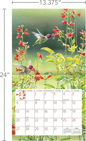 Lang Companies, Hummingbirds 2026 Wall Calendar by Susan Bourdet, 13.4'' X 12'', 12-Month Calendar with Stapled Binding in Saudi Arabia