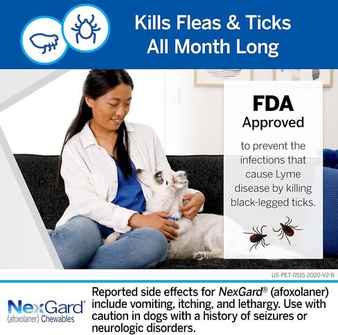 Nexgard® (afoxolaner) حماية البراغيث وحماية القراد للكلاب اللحم البقري الناعم الناعم ، من 24.1 إلى 60 رطلاً. (مربع أرجواني) 1 مضغ (إمداد 1 شهر) in Saudi Arabia