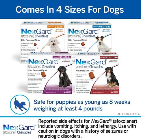 Nexgard® (afoxolaner) حماية البراغيث وحماية القراد للكلاب اللحم البقري الناعم الناعم ، من 24.1 إلى 60 رطلاً. (مربع أرجواني) 1 مضغ (إمداد 1 شهر) in Saudi Arabia