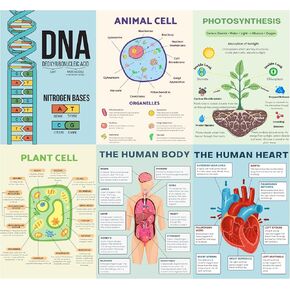 PINKEESEA 6 Science Posters for Classroom Middle School Classroom Must Haves - 10x14in Biology Posters for High School, Biology Decor, Middle School Supplies