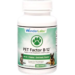Pet Factor B-12 | Vitamin B-12 in Methylcobalamin Form | Popular in Treatment of EPI in Dogs. 90 Count