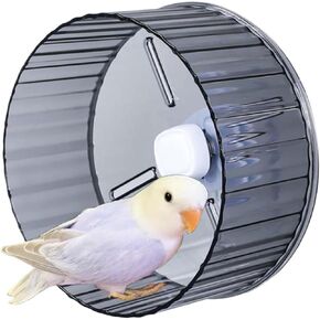 Bird Wheel Toy, Silent Parrot Exercise Wheel Interactive Rotating Toy for Small Medium Birds - Parakeets Cockatiels Conures Lovebirds Finches - Bird Cage Enrichment Accessory (L (8.3''D),Clear)