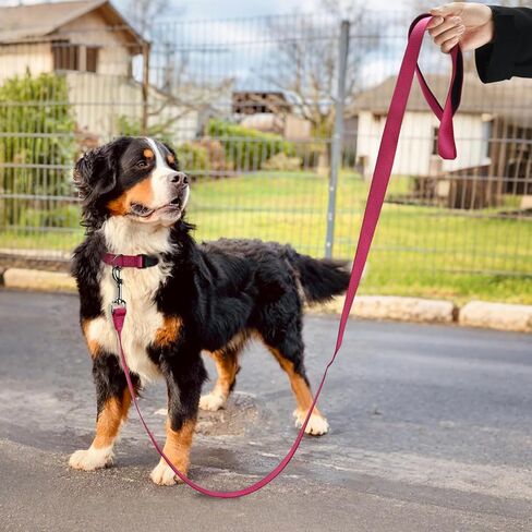 AUDWUD Soft Padded Handle Dog Leash,Relieve Hand Pressure;Portable,Strong,High Tensile Strength,Suitable for Small and Medium Sized Dog Walking Leash in Kuwait