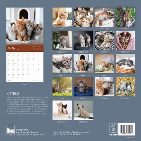 يوليو 2025- ديسمبر 2026 القطط والجزر التقويم الجدار 18 شهر | 12 "× 24" مفتوحة | تقويم كيتي القابل للهدية 2026 | ورقة سميكة وثيقة للتنظيم والتخطيط | Pacific Waters Press (القطط والجرى) in Kuwait