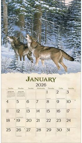Lang Companies, Beyond the Woods 2026 Wall Calendar by Michael Sieve, 13.4'' X 12'', 12-Month Calendar with Stapled Binding in Saudi Arabia