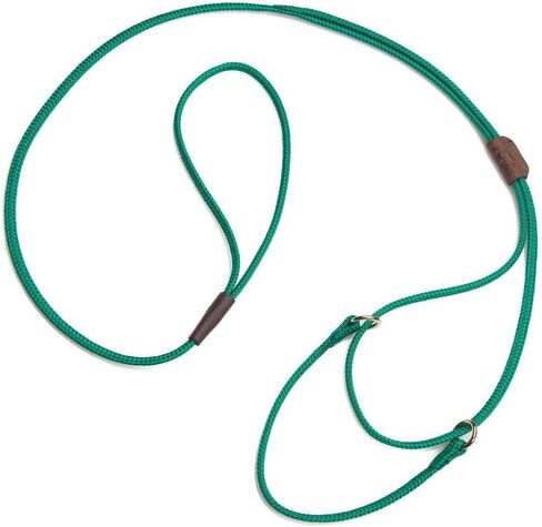 Mendota Pet Show Martingale Style Leash - Leash & Collar Combo, Made in The USA - Tan, 12 in x 1/8 in x 40 in in Kuwait