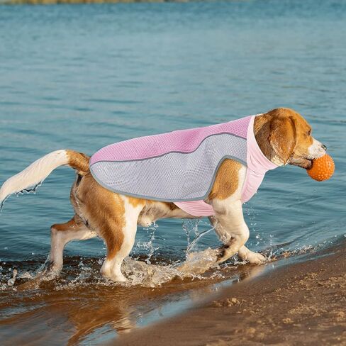 Dog Cooling Vest for Summer, Breathable Mesh Cooling Shirt Jacket for Dogs Summer Heat Relief, Lightweight Cooling Dog Harness Pet Cooler Suit for Outdoor Hiking Walking Hot Weather(Pink M) in Saudi Arabia