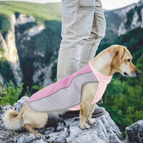 Dog Cooling Vest for Summer, Breathable Mesh Cooling Shirt Jacket for Dogs Summer Heat Relief, Lightweight Cooling Dog Harness Pet Cooler Suit for Outdoor Hiking Walking Hot Weather(Pink M) in Saudi Arabia