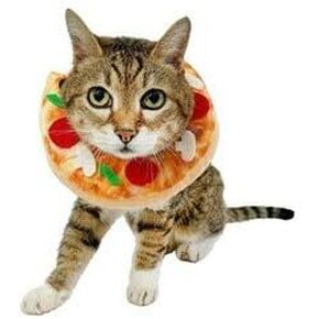 Hyde & Eek Boutique Pet Pizza Neckwear Costume Collar
