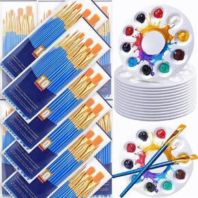 264PCS Valued Paint Brushes and Palettes Set，24Pack of 240PCS Paint Brushes Bulk, 24 Paint Paint Trays, Artist Acrylic Brushes Nylon Brush Head, Suitable for All Purpose Oil Watercolor Painting Set