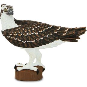 Safari Ltd. Osprey Figure - Realistic 2.75" Bird Figurine - Educational Toy for Boys, Girls, and Kids Ages 3+