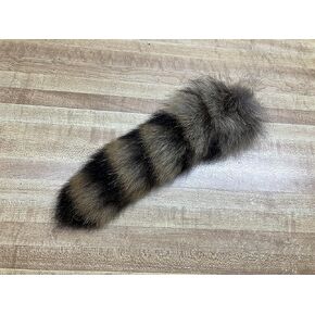 Tanned Raccoon Tail, 12'' to 14'' long