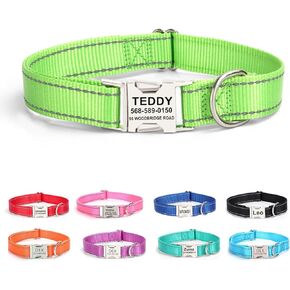 Personalized Dog Collar with Name Tag,Reflective Nylon Pet Collar,Custom Engraved Buckle Dog Collars,XS S M L XL Adjustable Pet Collar for Small Medium Large Dogs (Pink)