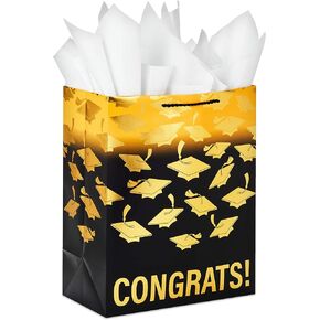 Hallmark 13" Large White Graduation Gift Bag with Tissue Paper (Class of 2025, Gold Confetti)