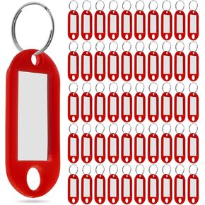 Key Tags with Label Window, 100 Pack, Black Plastic with Split Ring, ID Labels for Luggage and Organization (Sky Blue) in Kuwait