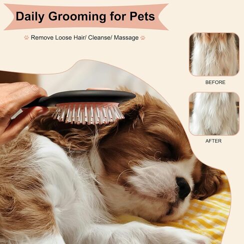 Soft Bristle Cat-Ear Puppy Brush Small Dogs Gentle Comb Grooming Tool Yorkie Shih Tzu Maltipoo Maltese (Black) in Saudi Arabia