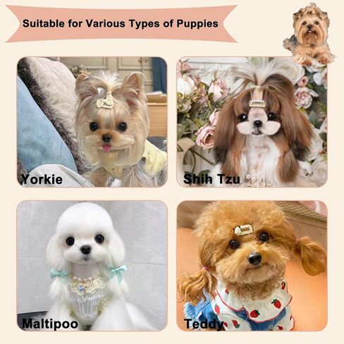 Soft Bristle Cat-Ear Puppy Brush Small Dogs Gentle Comb Grooming Tool Yorkie Shih Tzu Maltipoo Maltese (Black) in Saudi Arabia