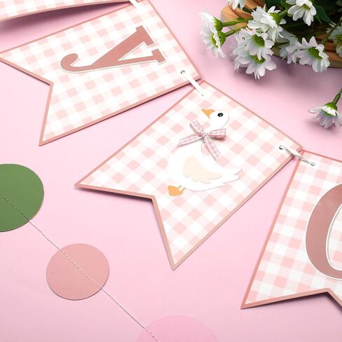 Janinka 3 Pcs One Silly Goose Banners Garlands One Silly Goose Birthday Party Decorations for Baby Shower Birthday Photo Props Themed Party Supplies(Blue) in Saudi Arabia