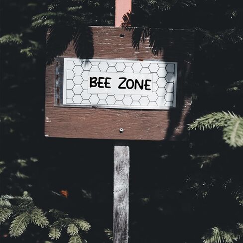 BEMEOL 1368 مقاطع ملصقات رسالة 36 أوراق 2 بوصة ملصقات الحروف الأبجدية فينيل رسائل ملصق للاصوص على لوحة الإعلانات ديكور صندوق البريد في المنزل (الأسود) in Saudi Arabia
