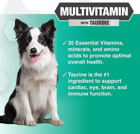 Nootie Progility Mini Multivitamin للكلاب الصغيرة، مكمل متعدد الفيتامينات للكلاب مع توراين، 60 مضغ ناعم لكل حاوية in Saudi Arabia