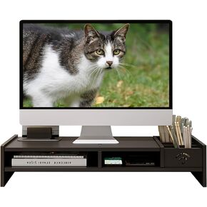 Catekro Monitor Stand Plastic Monitor Stand Desk Screen Riser Monitor Riser for Laptop PC Monitor (Black)